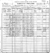 1900 Census, Morris Township, Texas County, Missouri